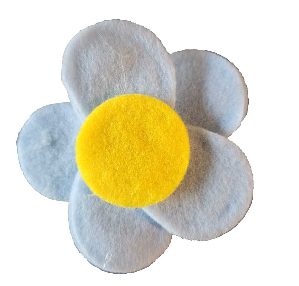 button forget me not flower